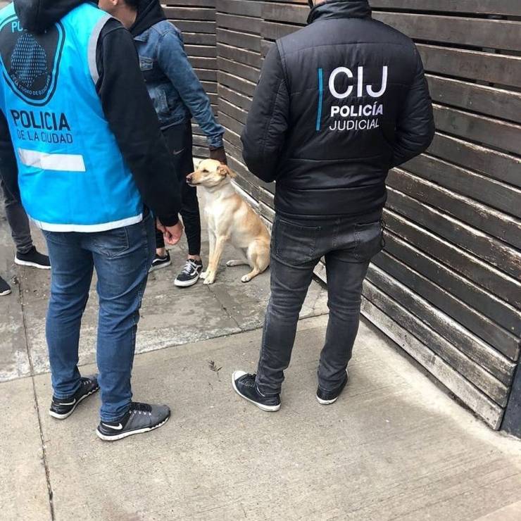 Núñez: tras una denuncia vecinal, imputaron al dueño de un perro por tenerlo en malas condiciones
