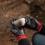 Edificio del Molino: durante una excavación hallaron tazas antiguas y serán exhibidas en su museo de sitio