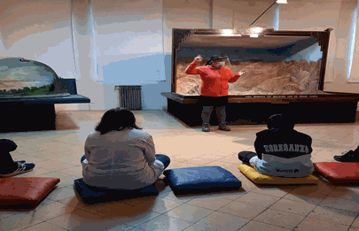 Visitas presenciales al Museo Bernasconi