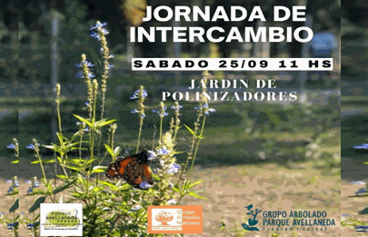 Jornada de Intercambio en el Parque Avellaneda