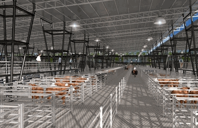 Avanzan las obras en la nueva sede del mercado agroganadero (MAG)