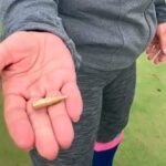 Una bala perdida impactó contra una deportista e investigan si partió del nuevo Tiro Federal