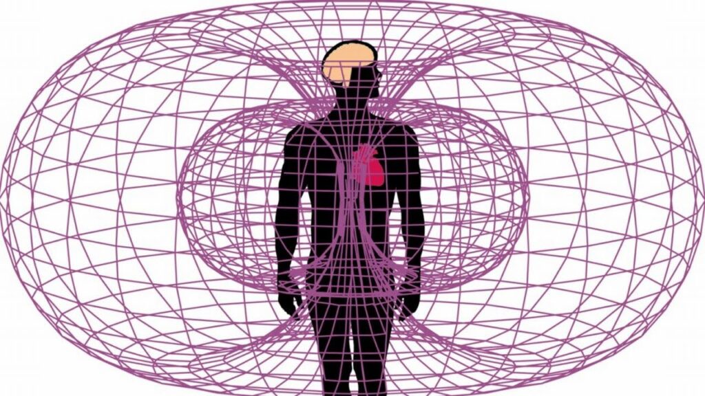 La inteligencia del corazón