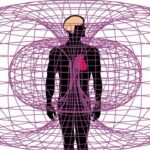 La inteligencia del corazón