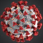 Coronavirus en Saavedra: 152 muertes y 7.004 casos desde el inicio de la pandemia