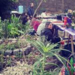 La Huerta de Saavedra celebra una jornada solidaria con música, buffet y bingo en apoyo al pueblo colombiano