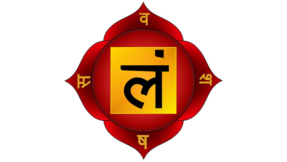 Activando tus raíces con la naturaleza