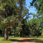 Parque Mugica: la Comuna 12 prevé inaugurar los nuevos baños y juegos infantiles este fin de semana