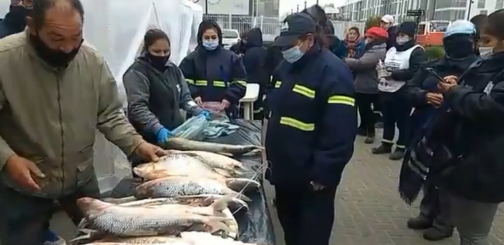 Realizan un pescadazo en el Bajo Flores a precios populares para alertar por la bajante del Río Paraná