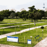 La Ciudad plantará más de 16 mil árboles durante 2021