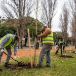 Ciudad proyecta plantar más de 16.000 árboles para mejorar la calidad ambiental de los barrios