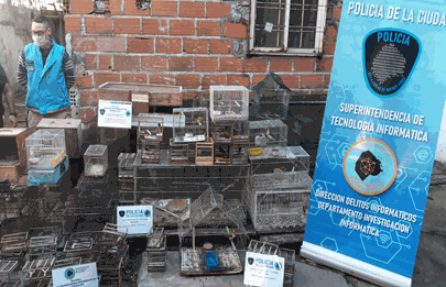 Soldati: Dos detenidos y más de 50 aves recuperadas en allanamientos