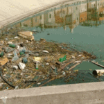 La Legisladora Laura Velasco  denunció las problemáticas ambientales en el entorno del lago Soldati