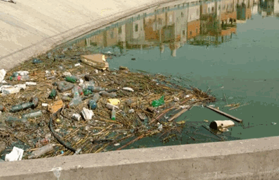 La Legisladora Laura Velasco  denunció las problemáticas ambientales en el entorno del lago Soldati