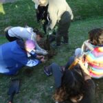 Vecinos por la Ecología plantaron árboles en el Parque Sarmiento y fijaron carteles en el Arboretum