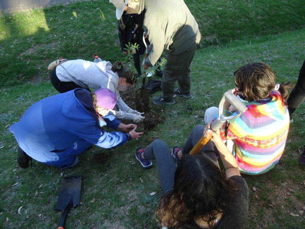 Vecinos por la Ecología plantaron árboles en el Parque Sarmiento y fijaron carteles en el Arboretum