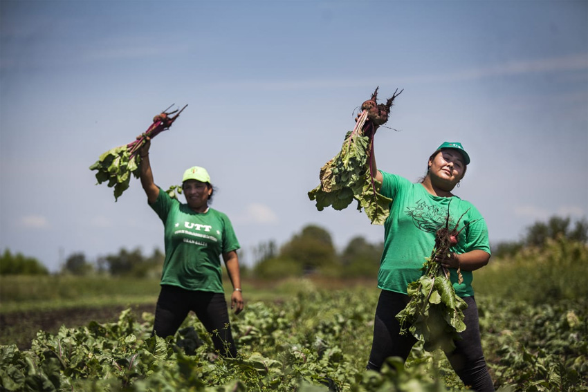 El Gobierno continúa dándole la espalda a la agroecología