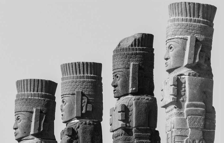 “La domesticación y el sueño del planeta”