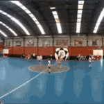 Un partido de futsal en Lugano término en escándalo y despidos