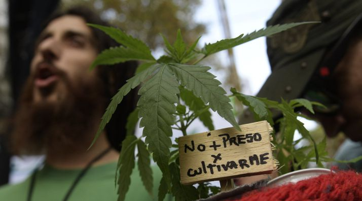 Celebrarán un festival de cultura cannábica frente al Congreso de la Nación bajo el lema “Despenalización ya”