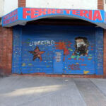 El Che Guevara y Javier Milei