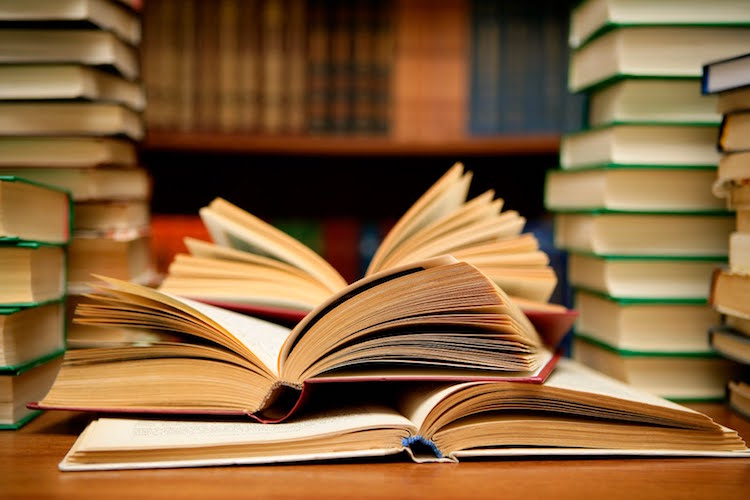 Floresta: artistas y vecinos de la Plaza El Banderín buscan libros para crear una biblioteca móvil