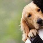 Turnos para atención veterinaria y vacunación antirrábica gratuita en Plaza Alberdi