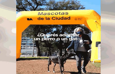 Se viene la jornada de adopción de mascotas en Parque Chacabuco