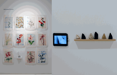 Glosario Monte Análogo de Nuria Rodriguez en el Marcó