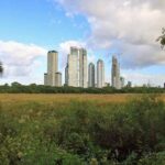 En plena ola de calor, un hombre de 56 años murió en la Reserva Ecológica de Costanera Sur mientras entrenaba