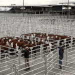 El Mercado de Liniers más cerca del cierre definitivo