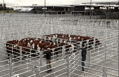 El Mercado de Liniers más cerca del cierre definitivo