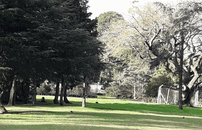 Anuncian la puesta en valor del Vivero de Parque Avellaneda