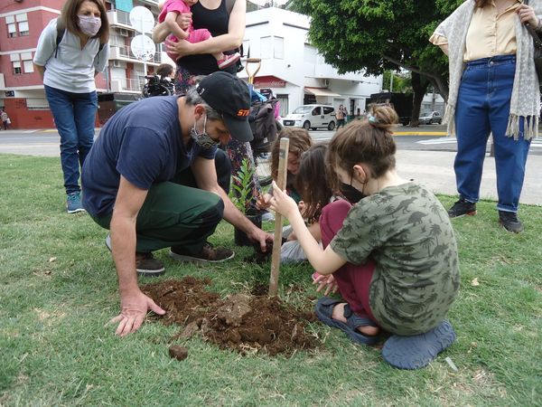 Plantaron un árbol nativo en el bulevar de García del Río durante una “caminata literaria”