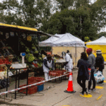 Ferias itinerantes de abastecimiento barrial en la Comuna 9