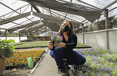 El orgullo de Parque Avellaneda su vivero que aporta flores a toda la ciudad