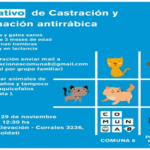 Se realizará una jornada de vacunación de mascotas en la comuna 8