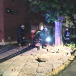 Parque Avellaneda: un conductor chocó contra un árbol y murió