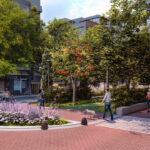 Caballito: vecinos convocan a una protesta en rechazo al parque lineal en la avenida Honorio Pueyrredón