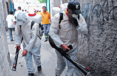 Dengue: Legisladores del FDT piden que se desinsecte en el sur porteño
