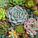 Buenos Aires Green Expo en Parque Chacabuco