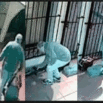 El Garrahan recibirá parte del dinero de “Los Bolsos de López”