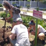 La Paternal: vecinos reinstalaron una huerta comunitaria contra las torres en el Parque La Isla
