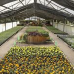 Ciudad pondrá en valor el vivero del Parque Avellaneda