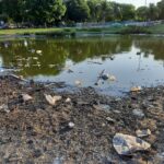 Lamentable estado del lago del Parque Alberdi