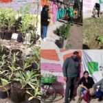 Plantación colectiva en el Parque de la Estación