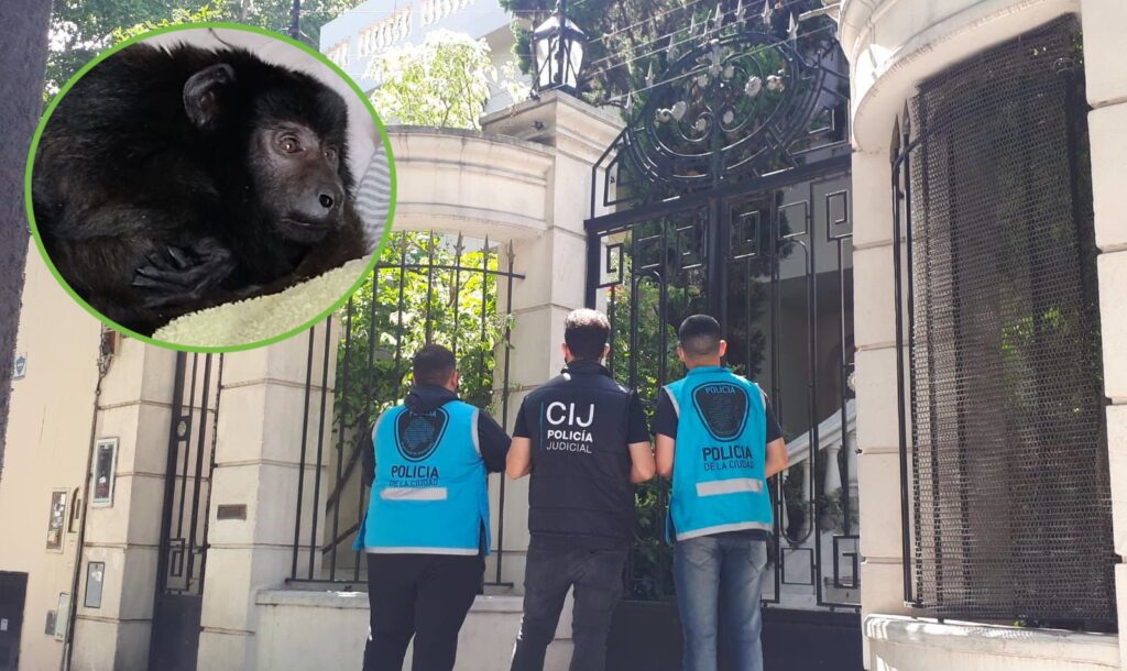 Belgrano R: organizaban fiestas con drogas en una casa estilo francés y tenían un mono encerrado