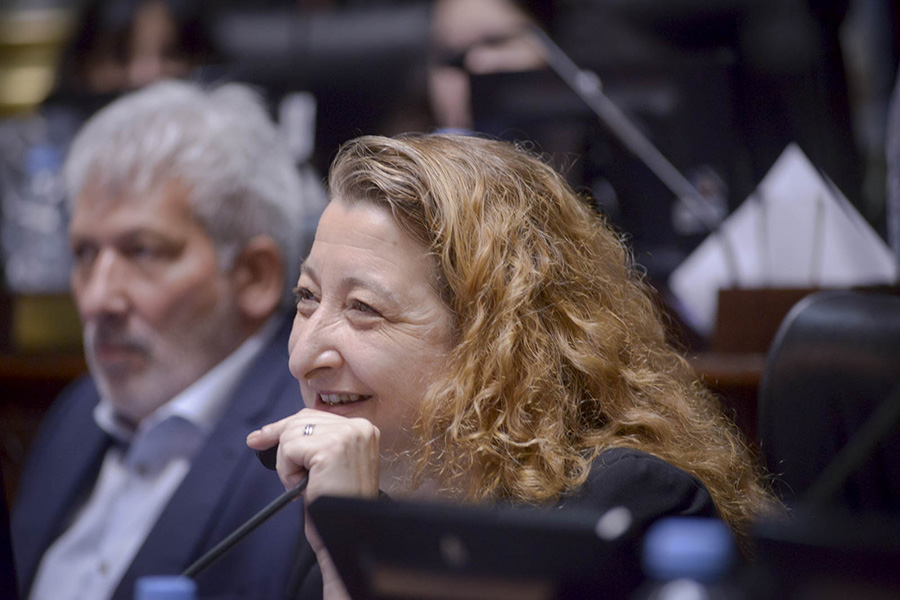 Muiños ya es la nueva Defensora del pueblo porteño