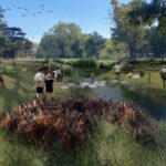 En paralelo a las protestas, lanzan una petición en Change contra la apertura del Arroyo Medrano en Parque Saavedra