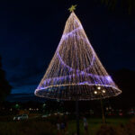 Con árboles “sustentables”, una feria y luces en las calles, la Ciudad comenzó la decoración para la Navidad
